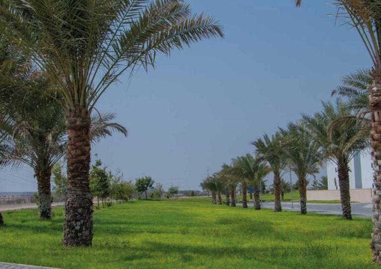 3 BR + Maid’s Room Charming Freehold Townhouse – Hai Al Naseem – Landscape Gardens